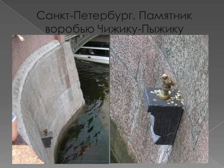 Санкт-Петербург. Памятник воробью Чижику-Пыжику