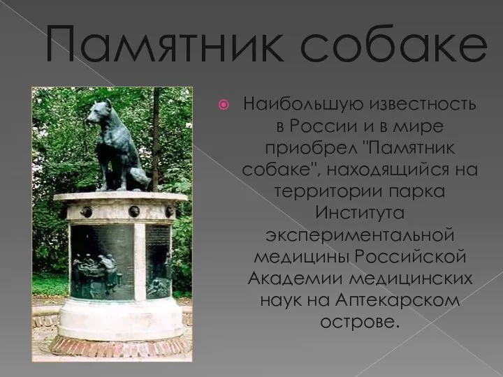 Памятник собаке Наибольшую известность в России и в мире приобрел