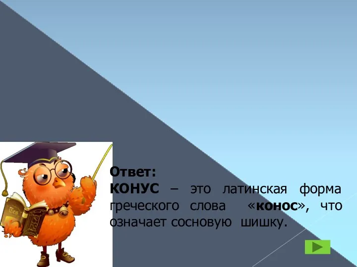 КОНУС Ответ: КОНУС – это латинская форма греческого слова «конос», что означает сосновую шишку.