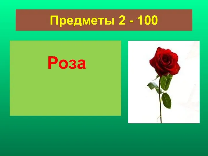 Предметы 2 - 100 Роза