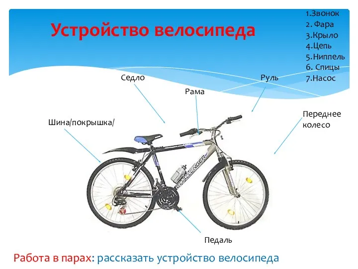 Устройство велосипеда Седло Шина/покрышка/ Рама Руль Переднее колесо Педаль 1.Звонок