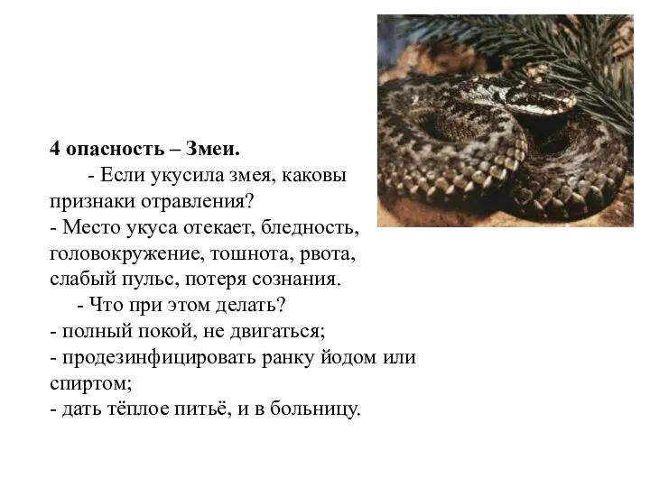 4 опасность – Змеи. - Если укусила змея, каковы признаки отравления? - Место