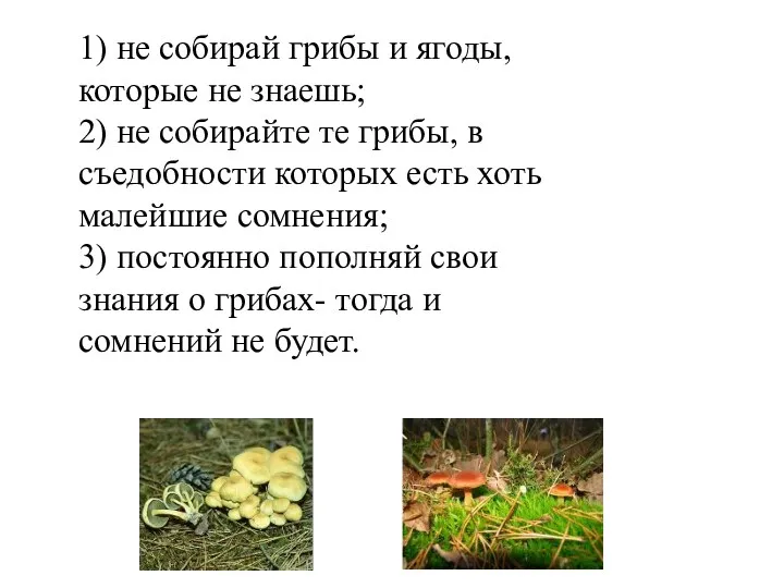 1) не собирай грибы и ягоды, которые не знаешь; 2)