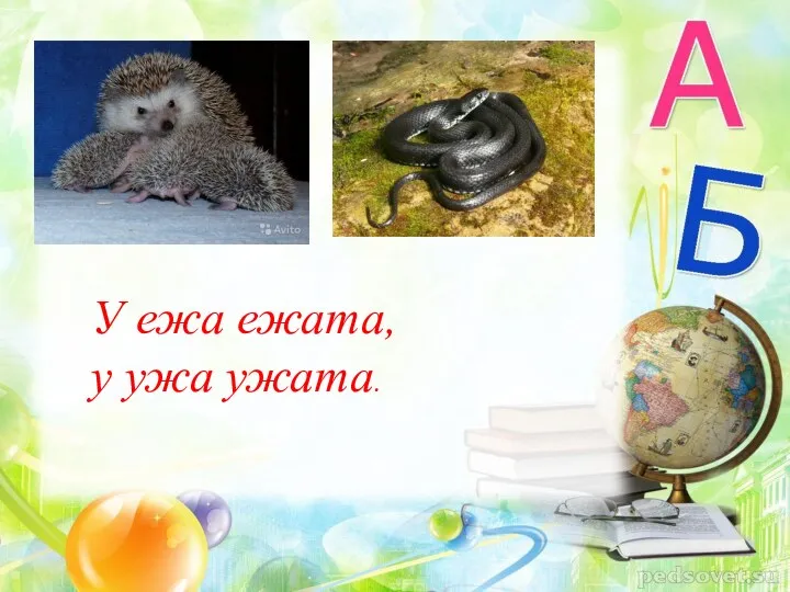 У ежа ежата, у ужа ужата.