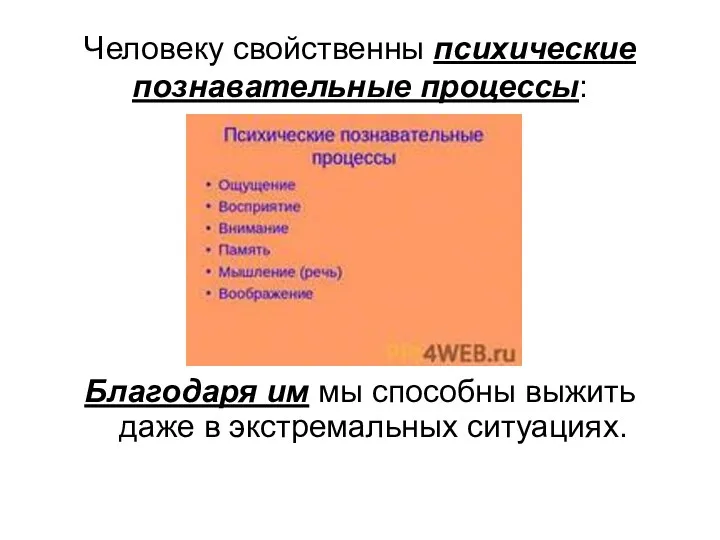 Человеку свойственны психические познавательные процессы: Благодаря им мы способны выжить даже в экстремальных ситуациях.