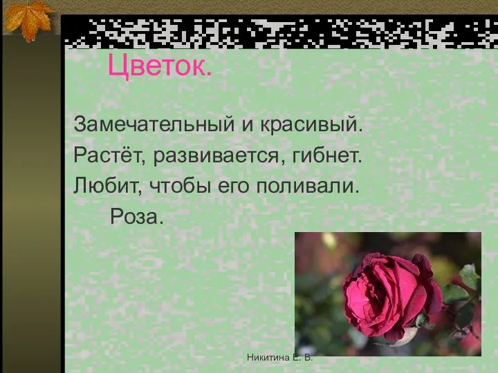 Цветок. Замечательный и красивый. Растёт, развивается, гибнет. Любит, чтобы его поливали. Роза. Никитина Е. В.