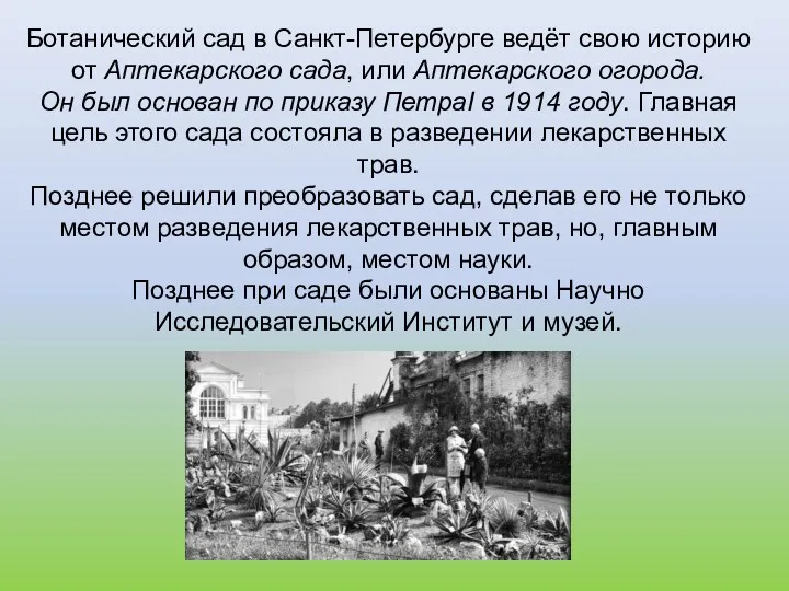 Ботанический сад в Санкт-Петербурге ведёт свою историю от Аптекарского сада, или Аптекарского огорода.