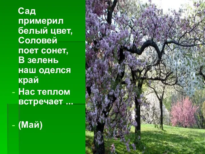 Сад примерил белый цвет, Соловей поет сонет, В зелень наш оделся край Нас