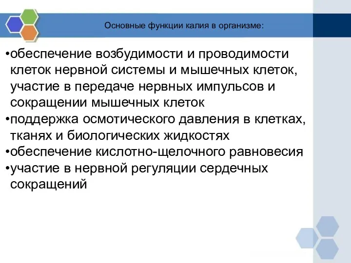 Основные функции калия в организме: обеспечение возбудимости и проводимости клеток