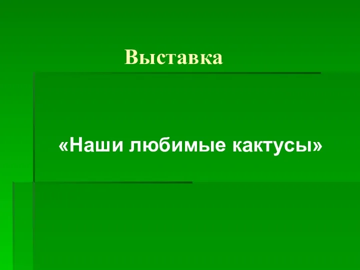 Выставка «Наши любимые кактусы»