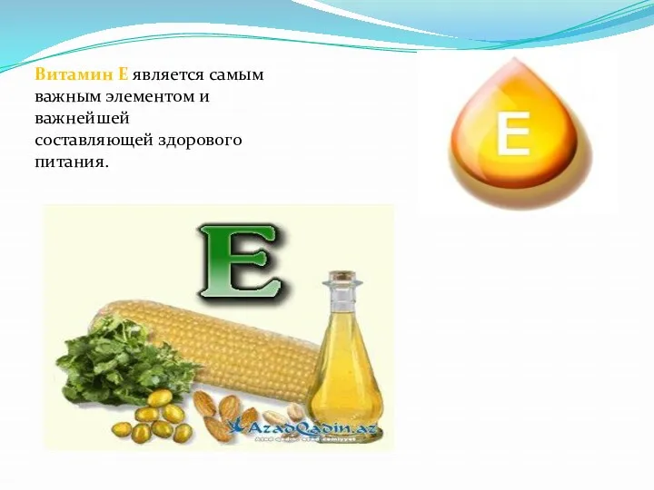 Витамин Е является самым важным элементом и важнейшей составляющей здорового питания.