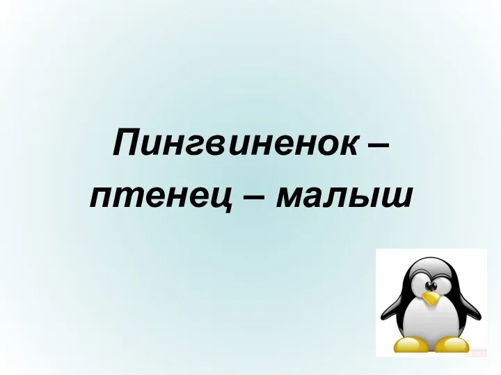 Пингвиненок – птенец – малыш