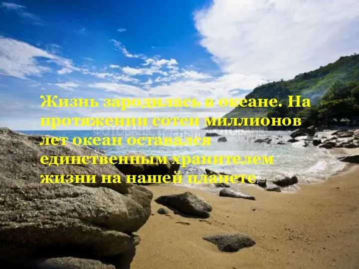 Жизнь зародилась в океане. На протяжении сотен миллионов лет океан