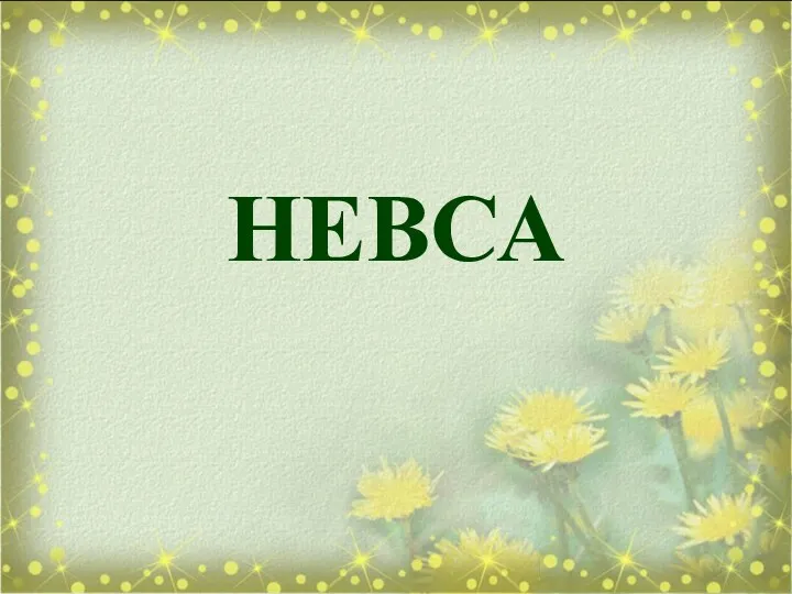 НЕВСА