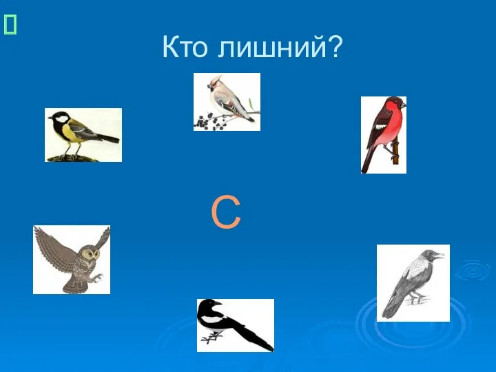 Кто лишний? С