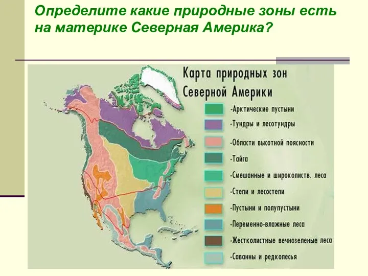 Определите какие природные зоны есть на материке Северная Америка?