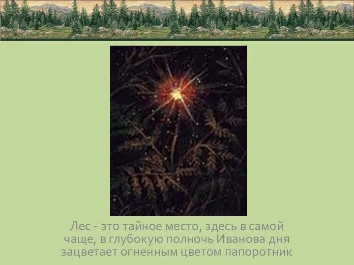 Лес - это тайное место, здесь в самой чаще, в глубокую полночь Иванова