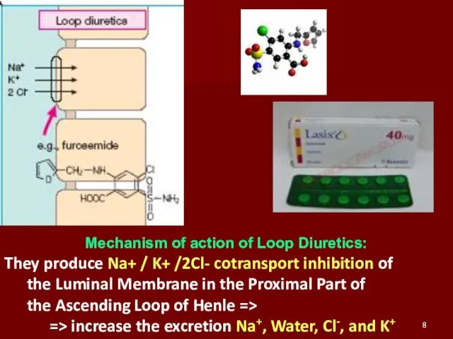 Mechanism of action of Loop Diuretics: They produce Na+ / K+ /2Cl- cotransport