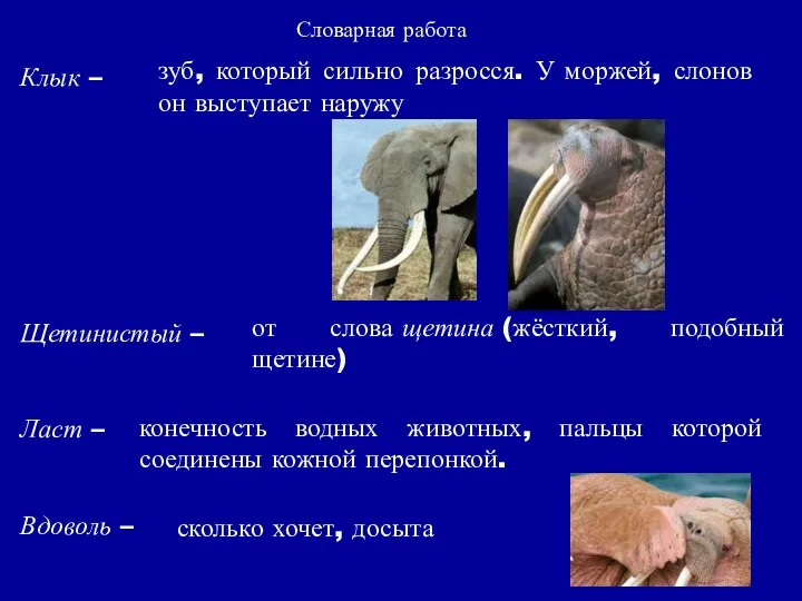 Клык – Щетинистый – Ласт – Вдоволь – Словарная работа