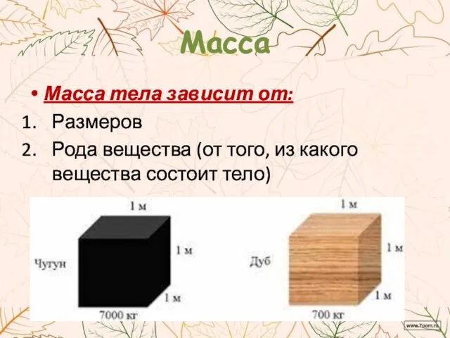 Масса Масса тела зависит от: Размеров Рода вещества (от того, из какого вещества состоит тело)