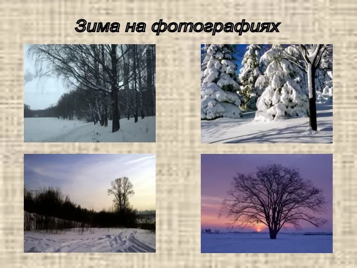 Зима на фотографиях
