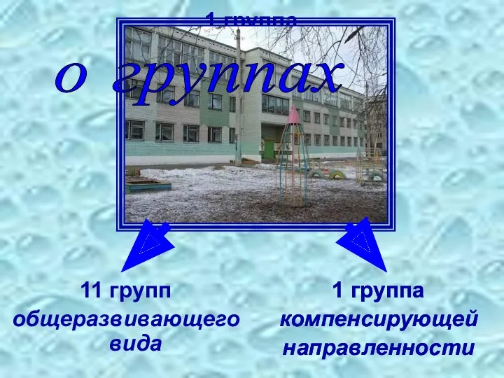 1 группа компенсирующей направленности 11 групп общеразвивающего вида о группах