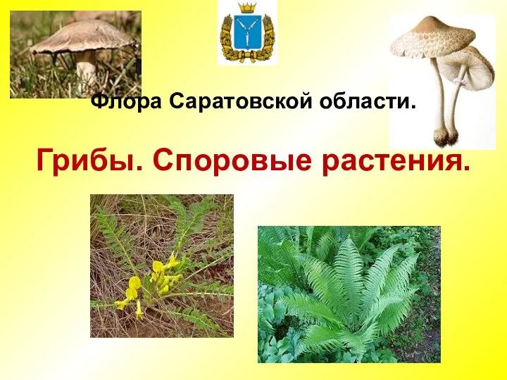 Флора Саратовской области. Грибы. Споровые растения.