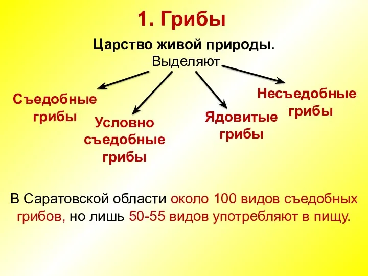 1. Грибы Царство живой природы. Выделяют В Саратовской области около