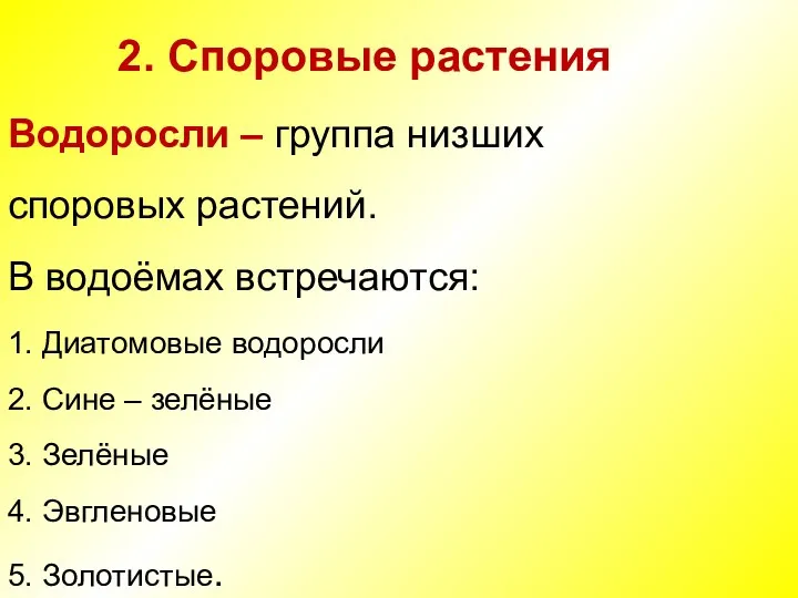 2. Споровые растения Водоросли – группа низших споровых растений. В