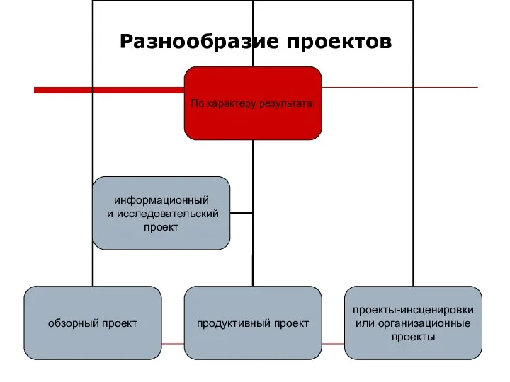 Разнообразие проектов