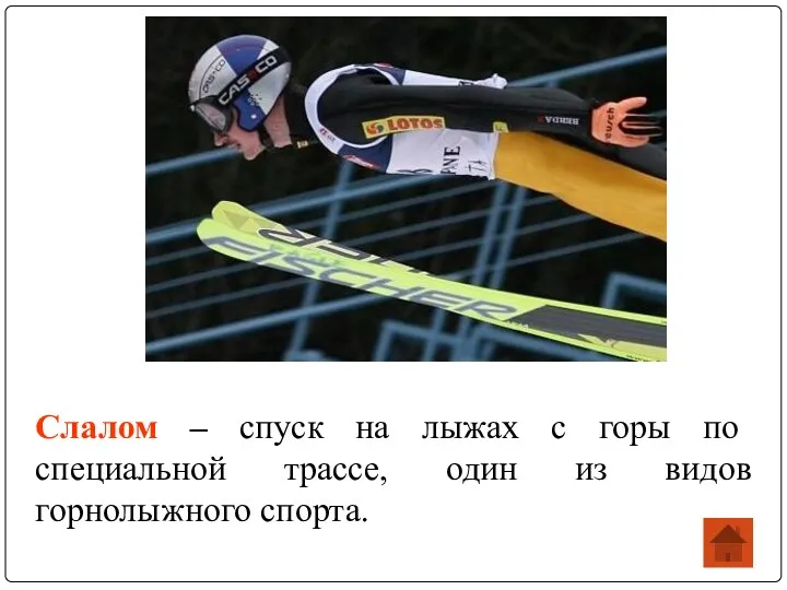 Слалом – спуск на лыжах с горы по специальной трассе, один из видов горнолыжного спорта.