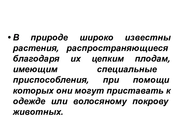 В природе широко известны растения, распространяющиеся благодаря их цепким плодам,