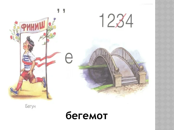 бегемот