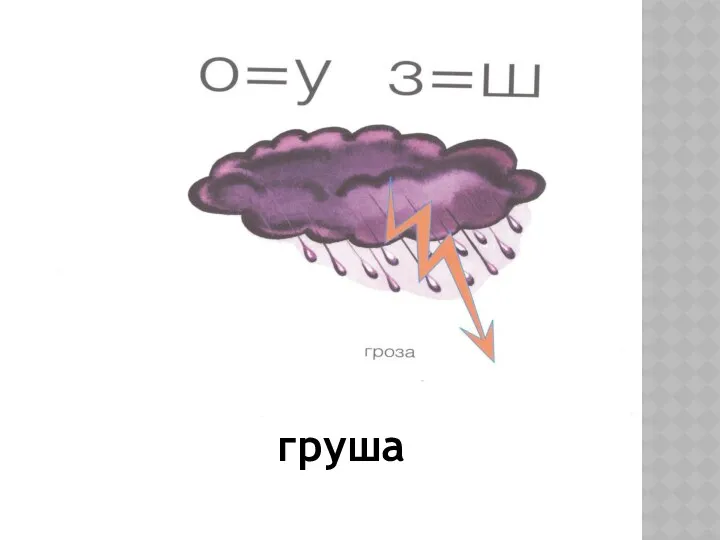 груша