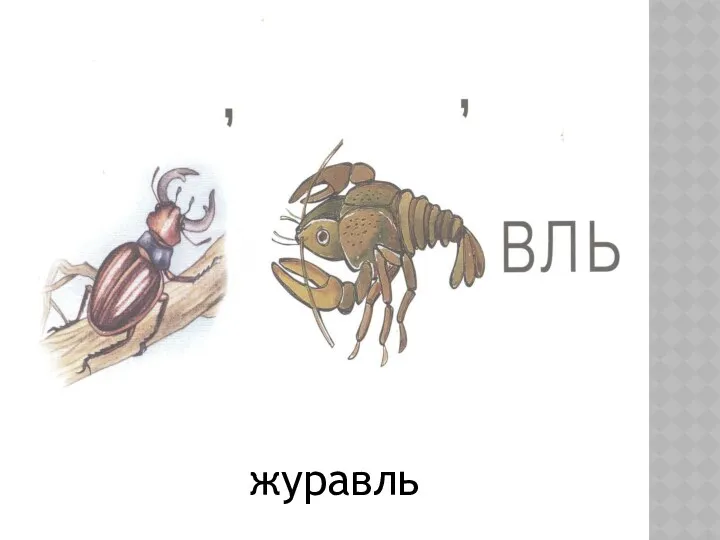 журавль