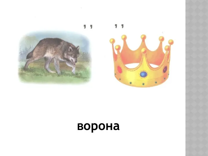 ворона