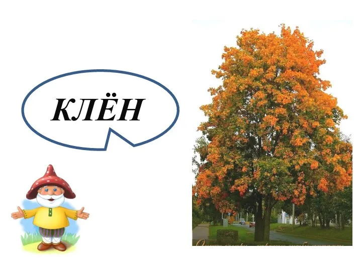 КЛЁН