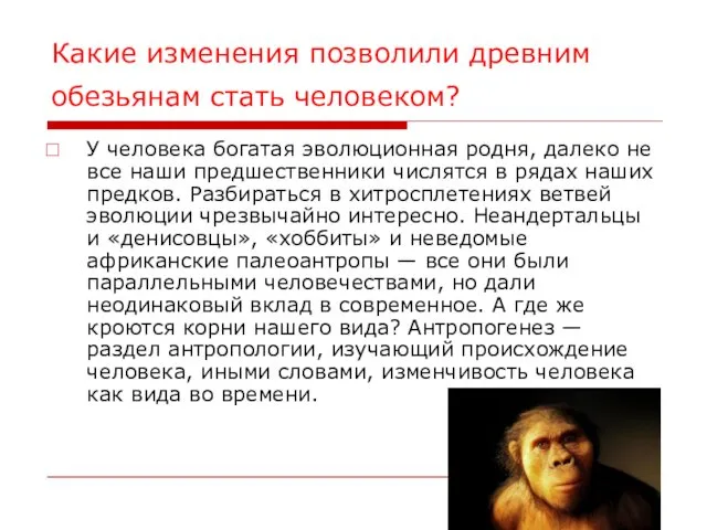 Какие изменения позволили древним обезьянам стать человеком? У человека богатая эволюционная родня, далеко