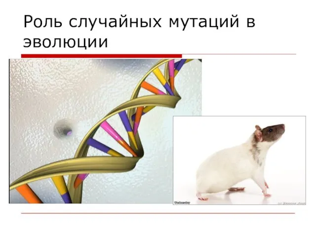 Роль случайных мутаций в эволюции