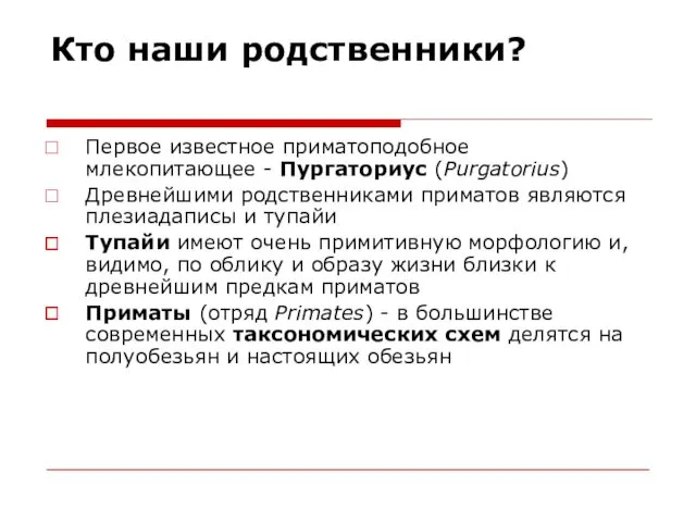 Кто наши родственники? Первое известное приматоподобное млекопитающее - Пургаториус (Purgatorius)