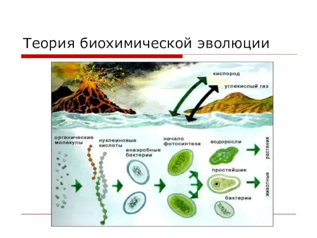 Теория биохимической эволюции