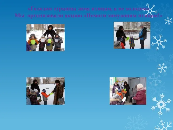 * «Голодом страшна зима птицам, а не холодом» Мы организовали акцию «Помоги зимующим птицам!»
