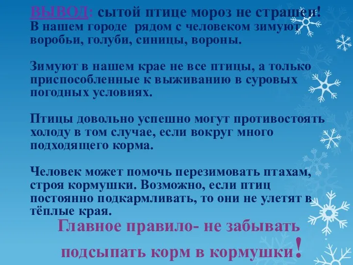 * ВЫВОД: сытой птице мороз не страшен! В нашем городе