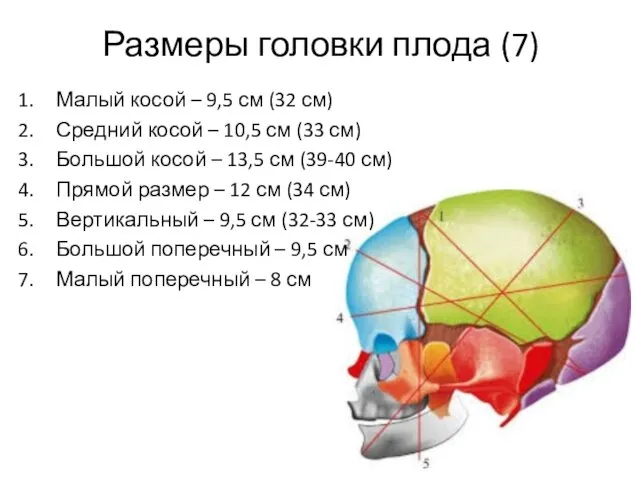Размеры головки плода (7) Малый косой – 9,5 см (32
