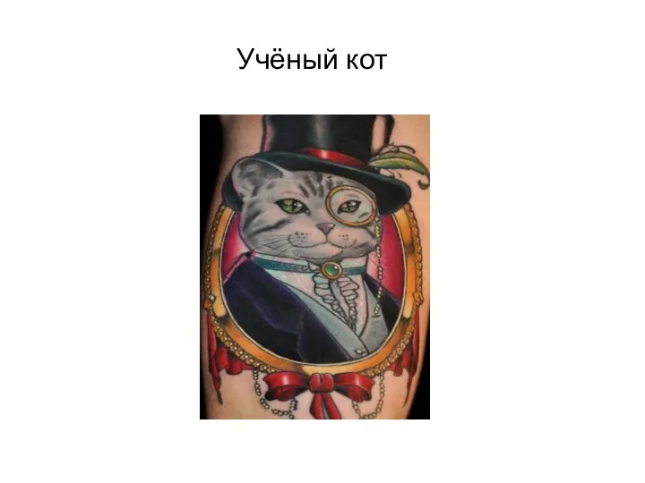 Учёный кот