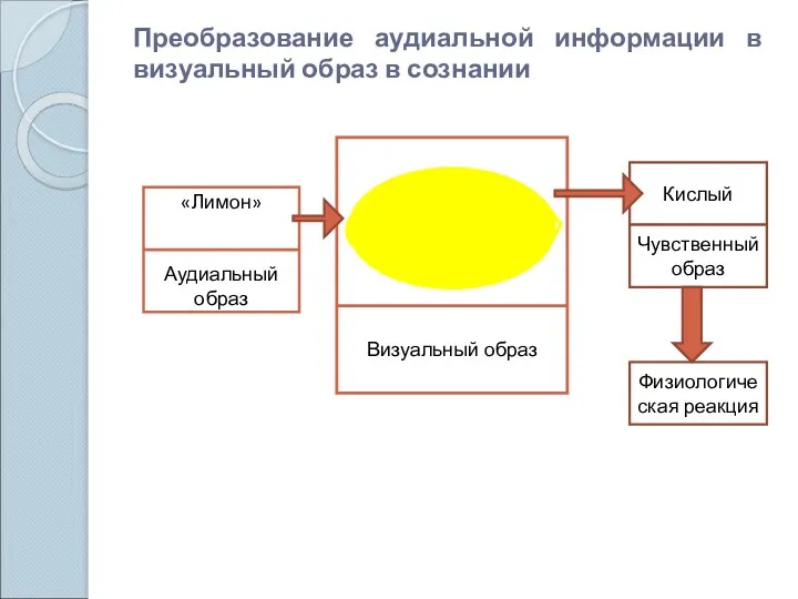 Преобразование аудиальной информации в визуальный образ в сознании «Лимон» Аудиальный