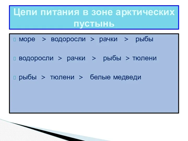 море > водоросли > рачки > рыбы водоросли > рачки