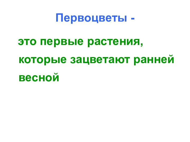 Первоцветы - это первые растения, которые зацветают ранней весной