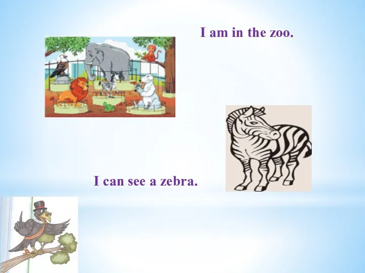 I am in the zoo. I can see a zebra.