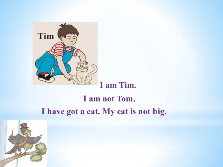 I am not Tom. I am Tim. I have got a cat. My